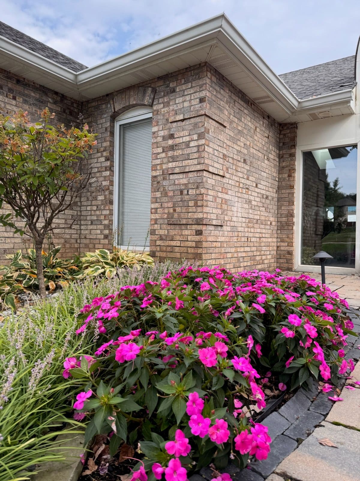 Boost Your Curb Appeal with Expert House Wash