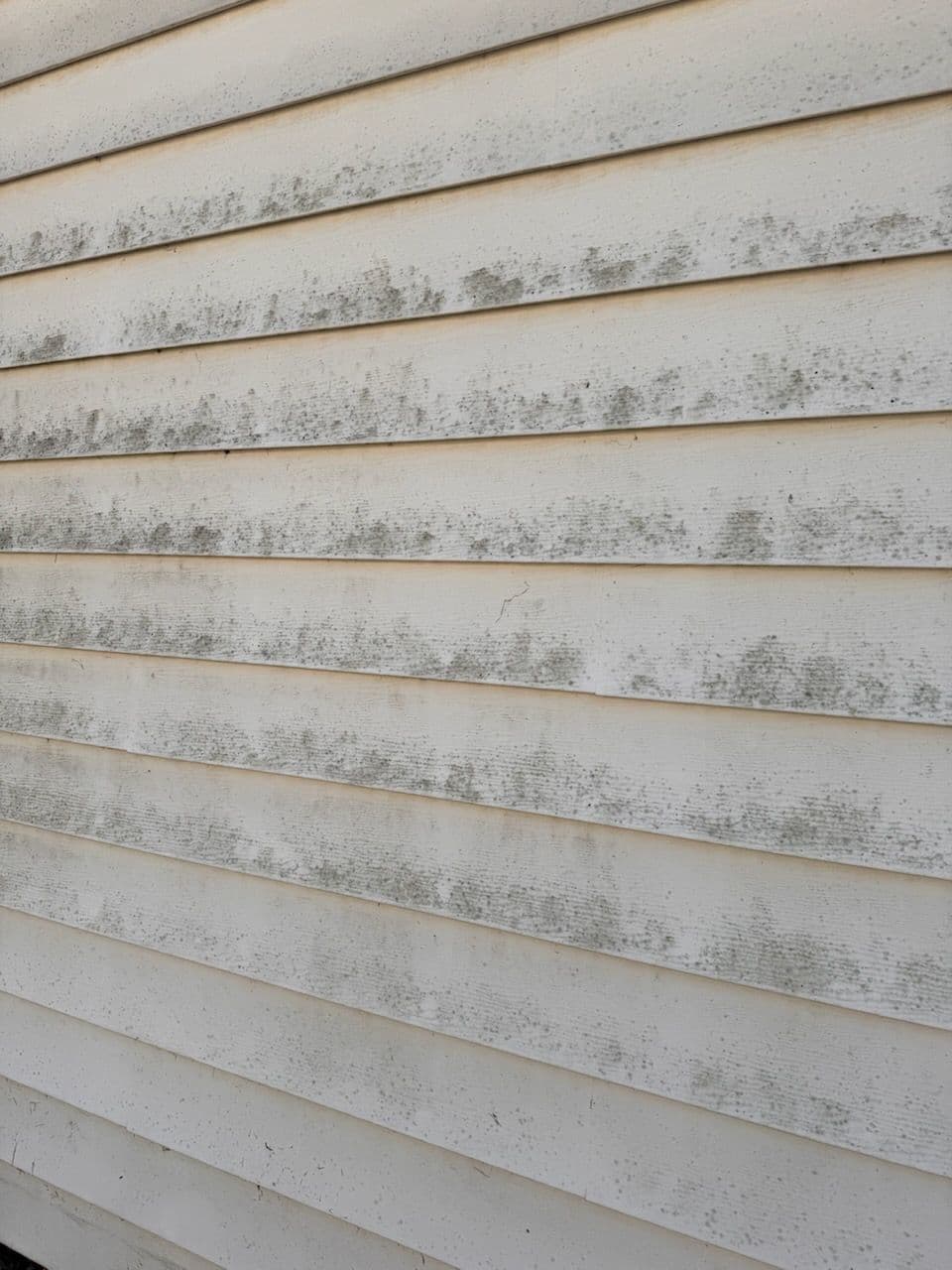 Project Brentwood Mold Removal Success Home Transformation image