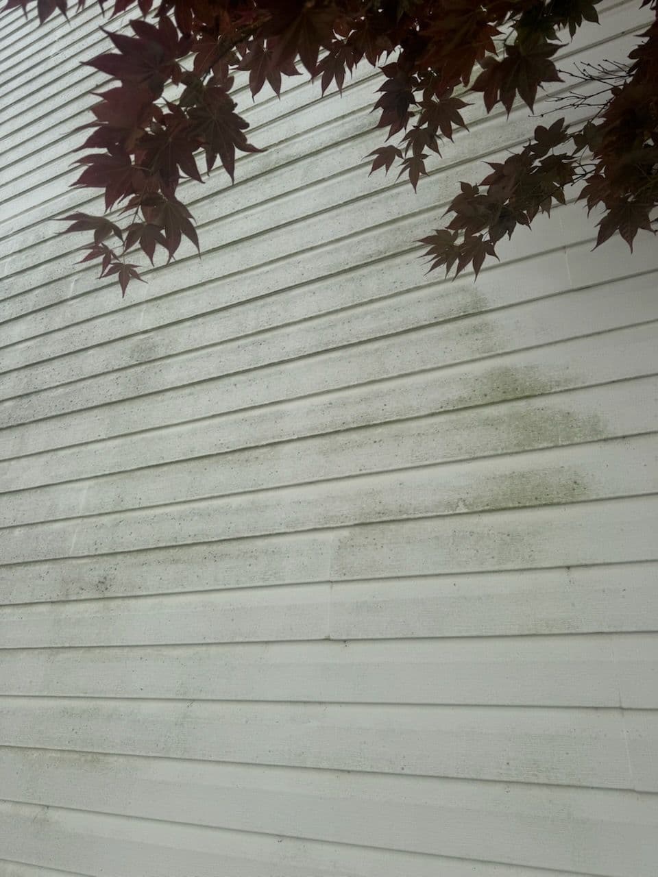 Project Soft Wash Makes Saint Peters Home Shine image