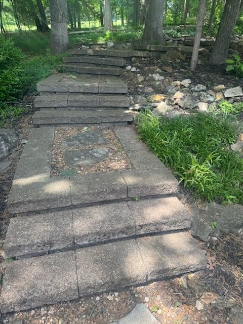 Landscape Transformation in Lake St. Louis