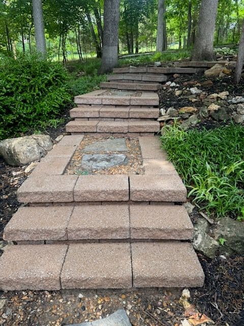 Landscape Transformation in Lake St. Louis
