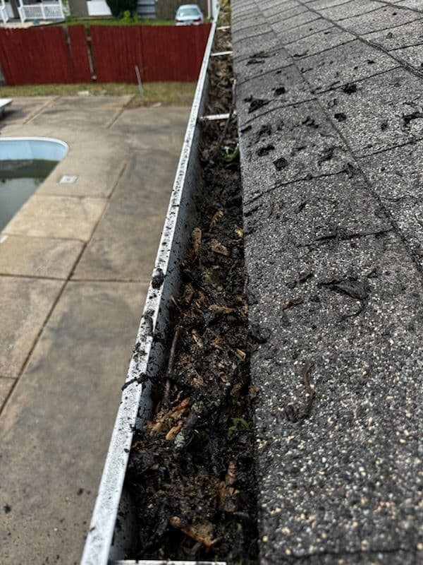 Gallery photos for Gutter Cleaning Transformation in Saint Peters: Image #2