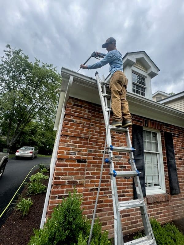 Gallery photos for Transform Your Home with Professional Cleaning: Image #1