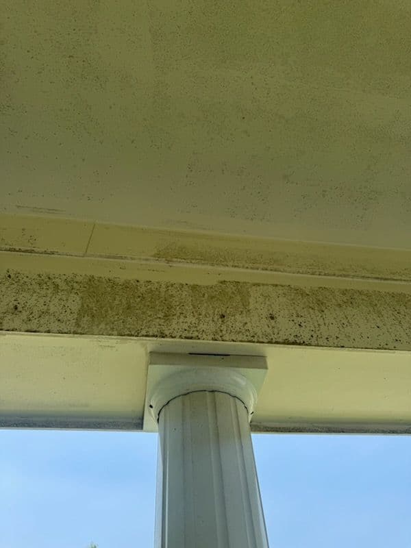 Winghaven House Revitalized with Expert Cleaning image