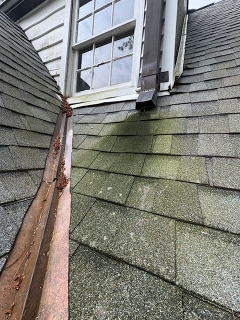 Sparkling Roof and Revitalized Stone Walls in Ballwin image
