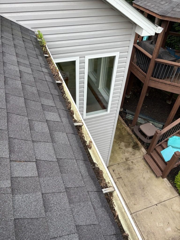 Transform Your Gutters with Expert Cleaning image