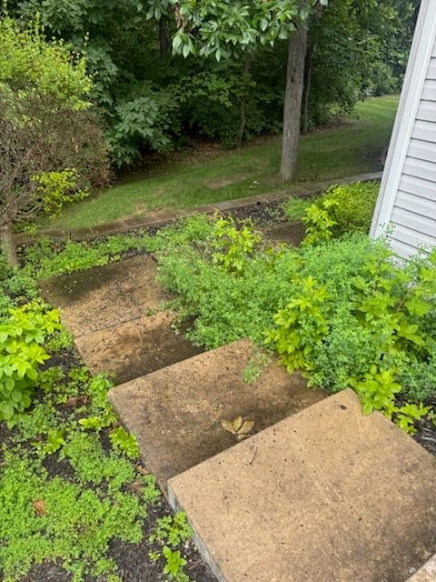 Gallery photos for Wentzville Hardscape Cleaning Transformation: Image #1