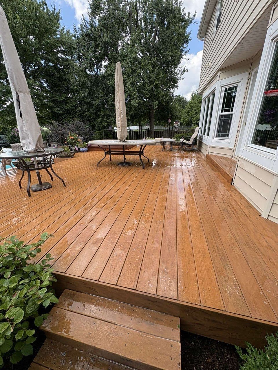 Gallery photos for Deck Cleaning Transformation in O'Fallon: Image #1