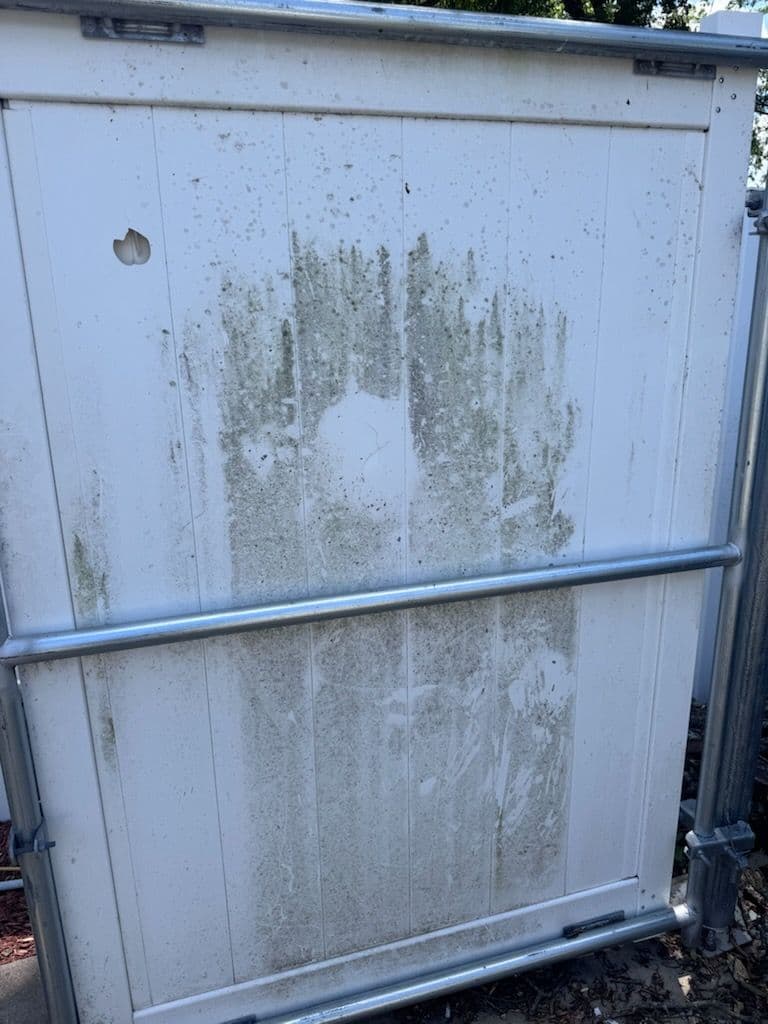 Brightening Up TexMo Coffee Co with Expert Pressure Washing image