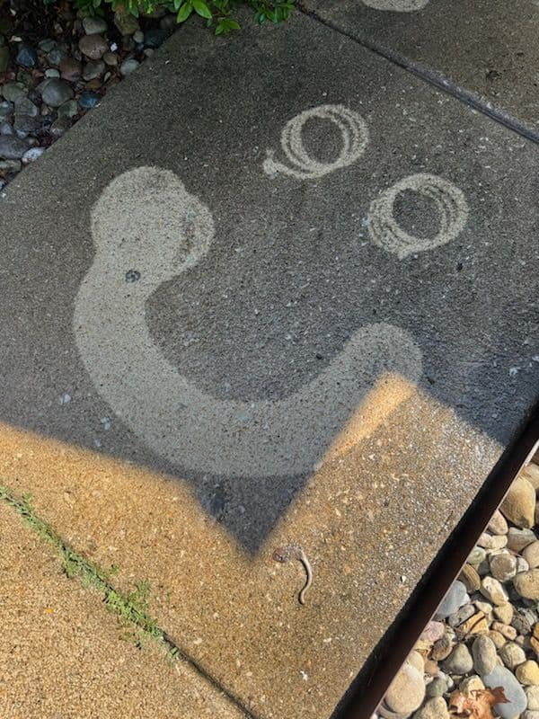 Gallery photos for Spotless Concrete Transformation in Cottleville: Image #1