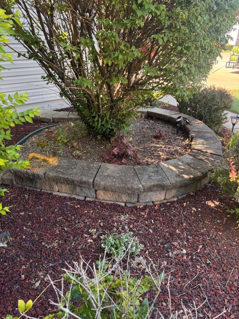 Revitalize Your Garden with Expert Cleaning image