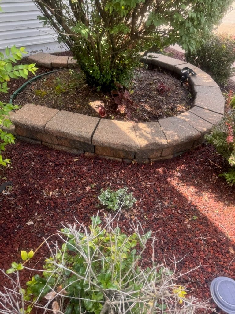 Gallery photos for Revitalize Your Garden with Expert Cleaning: Image #1
