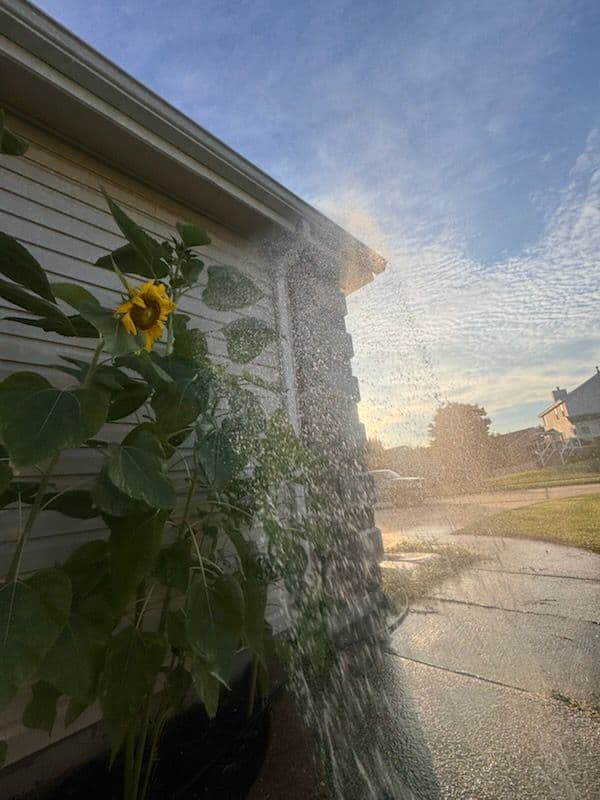 Transform Your Home with Expert House Washing image
