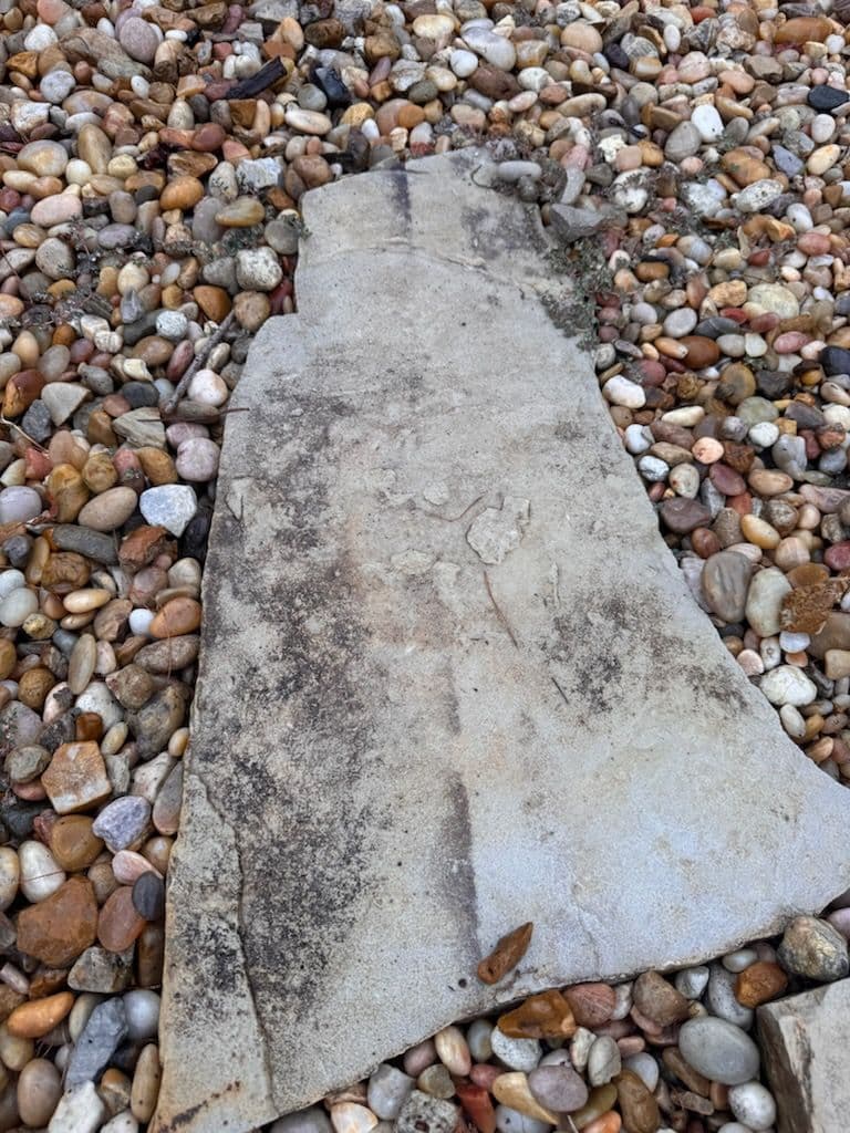 Transform Your Concrete with Expert Cleaning image