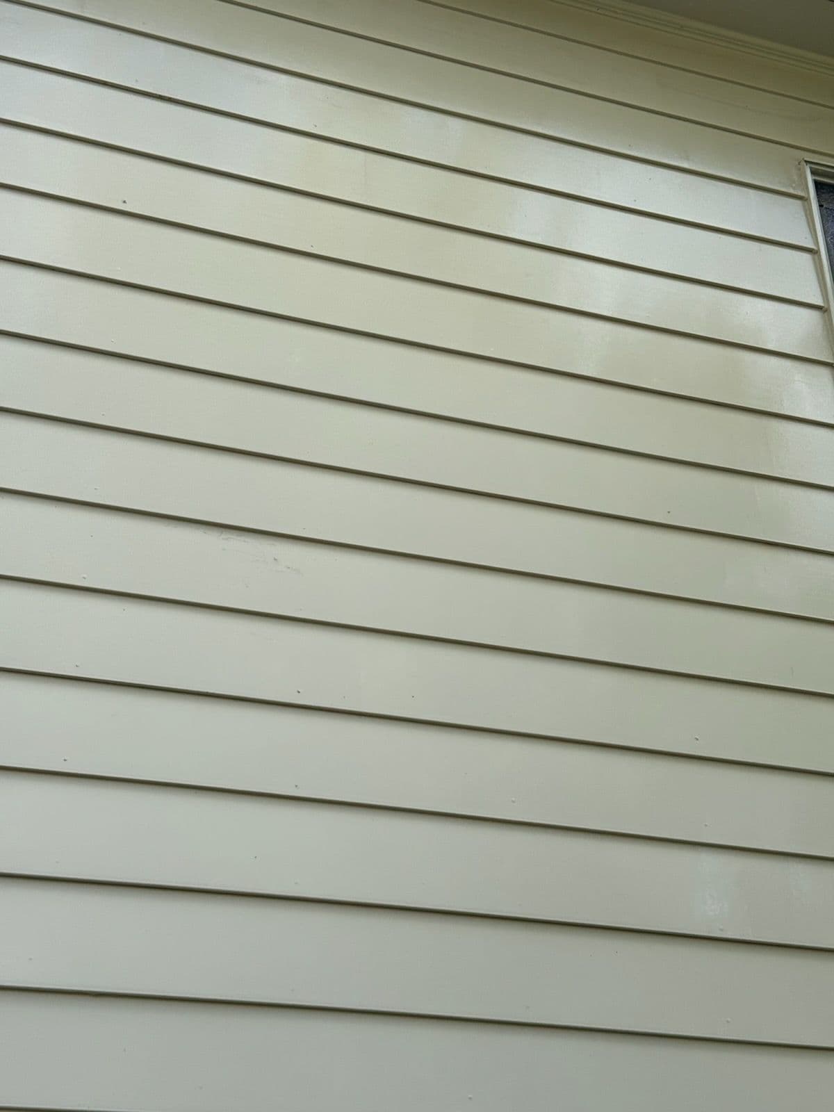Gallery photos for Transform Your Home with Expert Siding Cleaning: Image #1